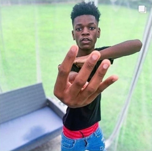 Voicemod profile picture for @fiddle