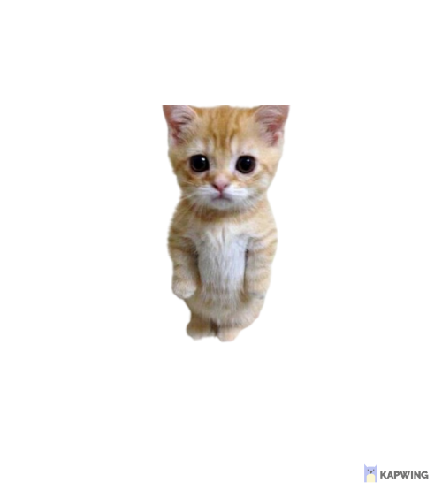 Voicemod profile picture for @real