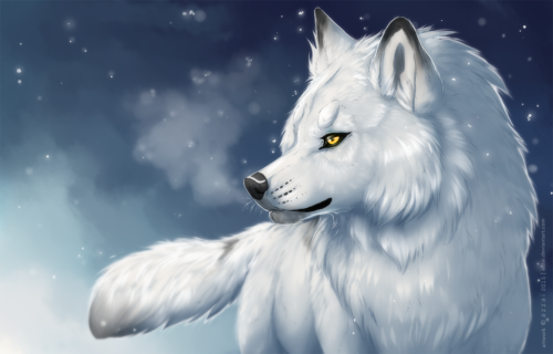 Voicemod profile picture for @wolfe