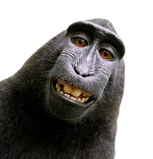 Voicemod profile picture for @slavery