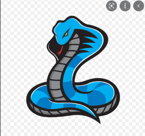 Voicemod profile picture for @cobra